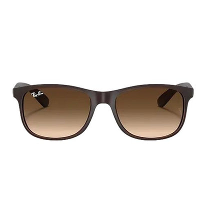 Ray Ban - Andy 0RB4202 - Braun