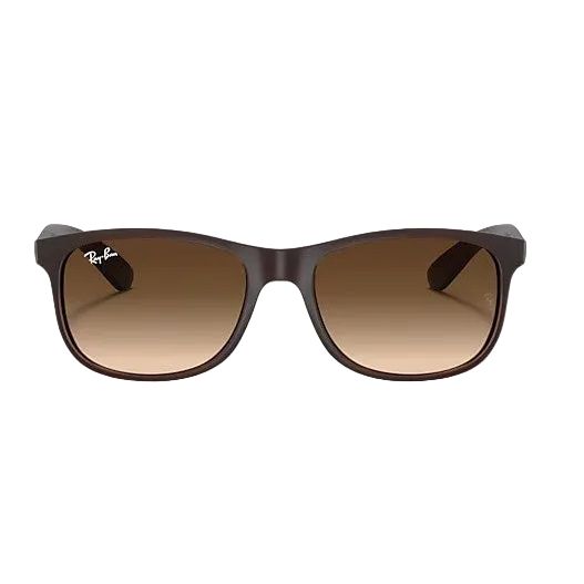 Ray Ban - Andy 0RB4202 - Braun