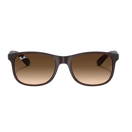 Ray Ban - Andy 0RB4202 - Braun