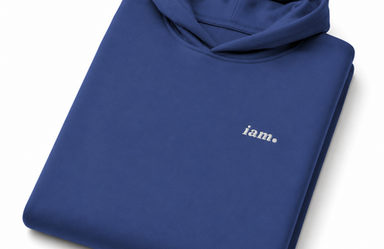THE HEAVY HOODIE