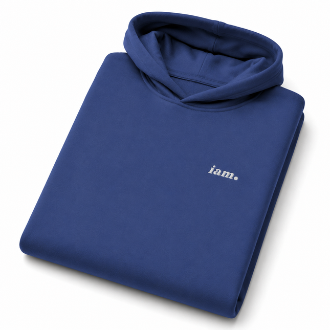 THE HEAVY HOODIE