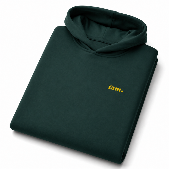 THE HEAVY HOODIE