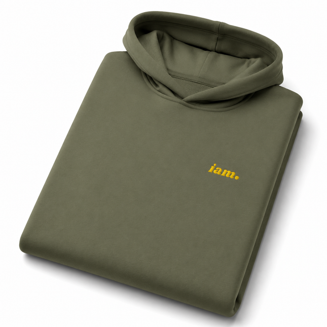 THE HEAVY HOODIE