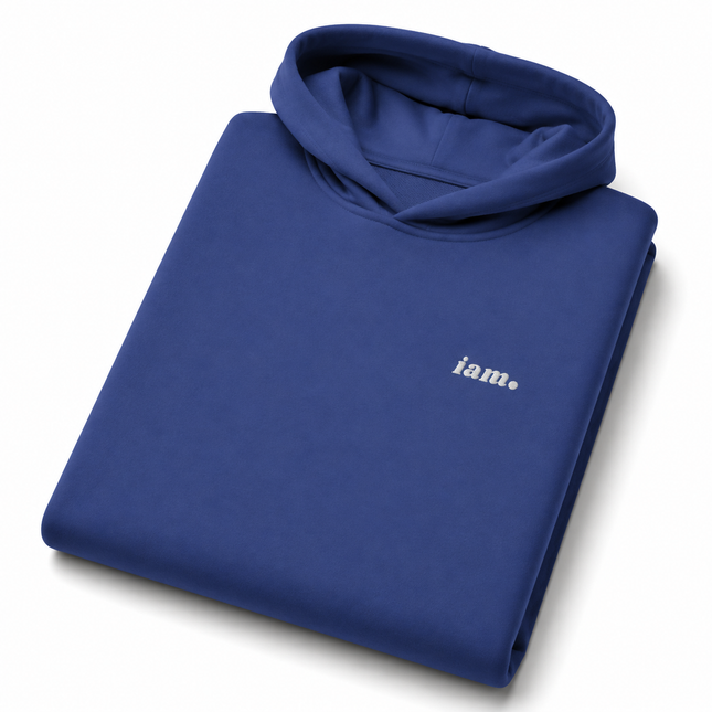 THE HEAVY HOODIE