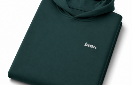 THE HEAVY HOODIE
