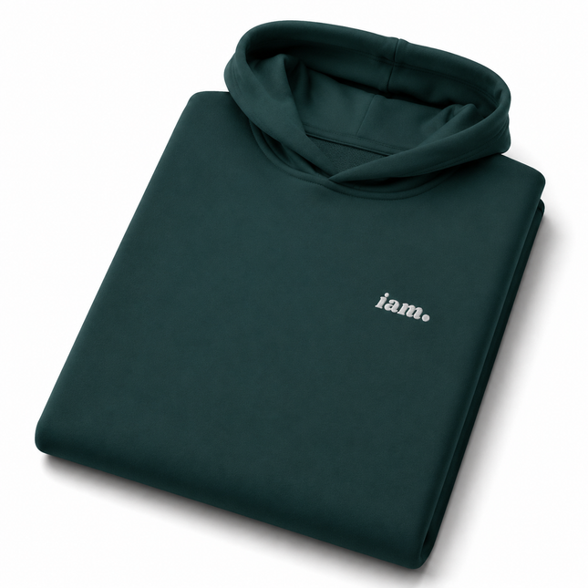 THE HEAVY HOODIE