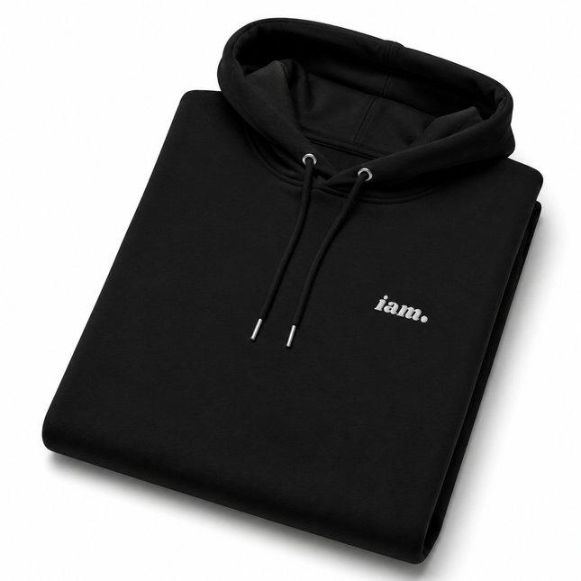 THE HEAVY HOODIE