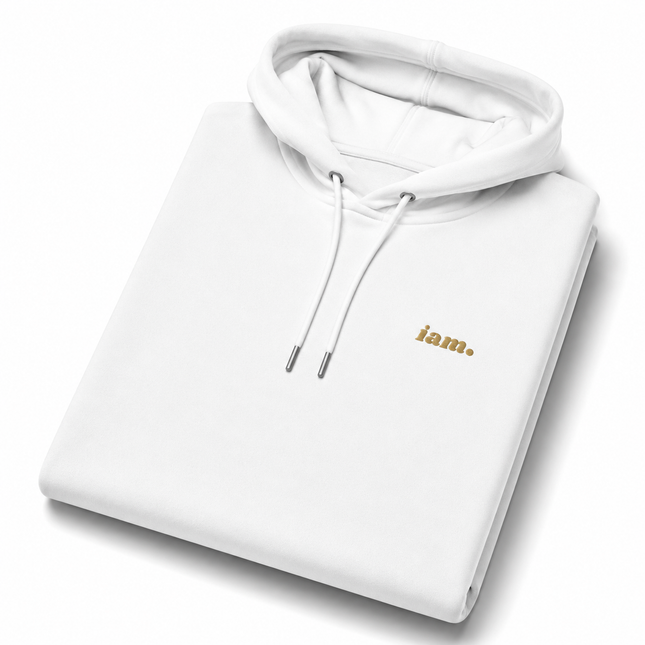THE HEAVY HOODIE