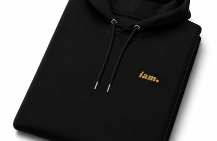 THE HEAVY HOODIE