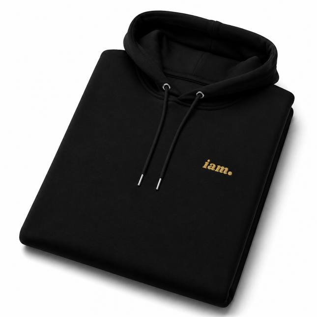 THE HEAVY HOODIE