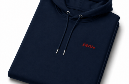 THE HEAVY HOODIE