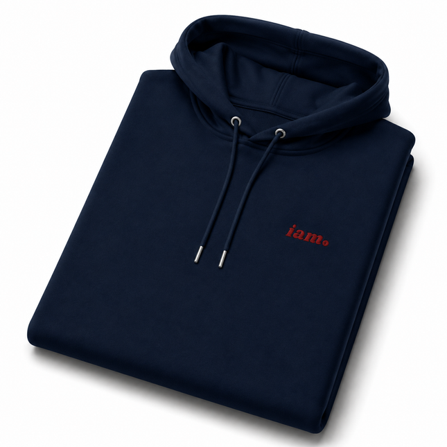 THE HEAVY HOODIE