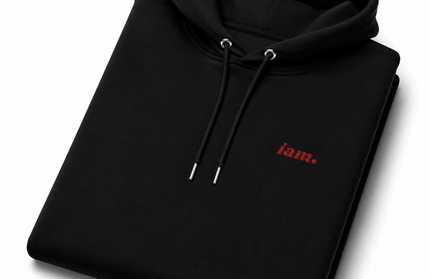 THE HEAVY HOODIE