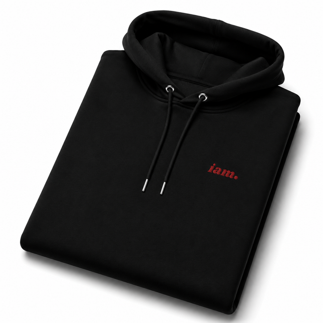 THE HEAVY HOODIE