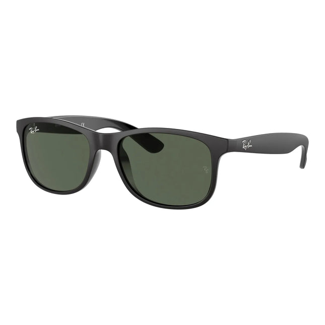 Ray Ban - Andy 0RB4202 - Schwarz